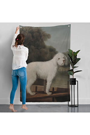 George Stubbs Beyaz Kaniş Duvar Örtüsü-8034