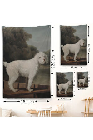 George Stubbs Beyaz Kaniş Duvar Örtüsü-8034