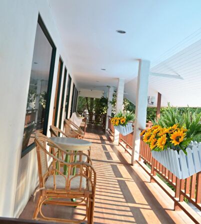 Yapay Çiçek Beyaz Çit Balkon Saksısı Ay Çiçekli 55*20cm