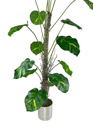 Yapay Ağaç Difenbahya Tropik 18 Dallı Çalılı Gövde 120x60cm Gümüş Aleminyum Saksıda
