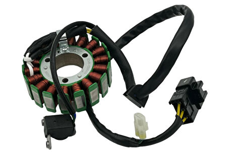 GTEM Cf Moto NK 250 Statör