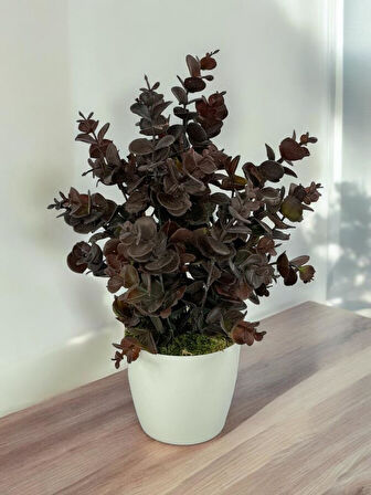 Yapay Çiçek Beyaz Saksıda Okaliptus Şimşir Demeti Pudralı Pastel Kahverengi Dekoratif Yapay Bitki