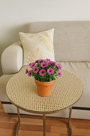 Yuvarlak Hasır Sehpa Örtüsü – PVC, Dantelli, Gold, Lüx, Çeyizlik Masa Örtüsü