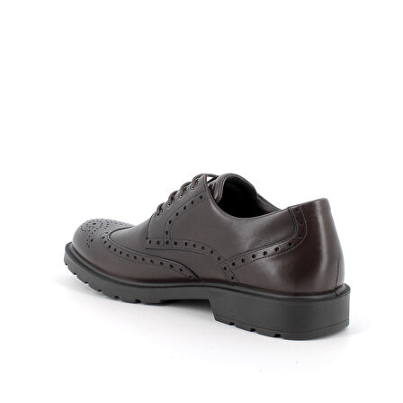 Erkek Oxford ( Klasik) 6604311 IGI&Co UCTGT 66043 Vitello Alfa T.Moro (Dark Brown)