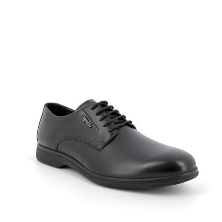 UGQ 76042 Erkek Oxford ( Klasik) 7604200 IGI&Co 76042 UGQ VITELLO ALFA  Nero