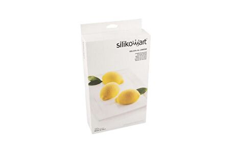 Silikomart Delizia Al Limone Kek Kalıbı