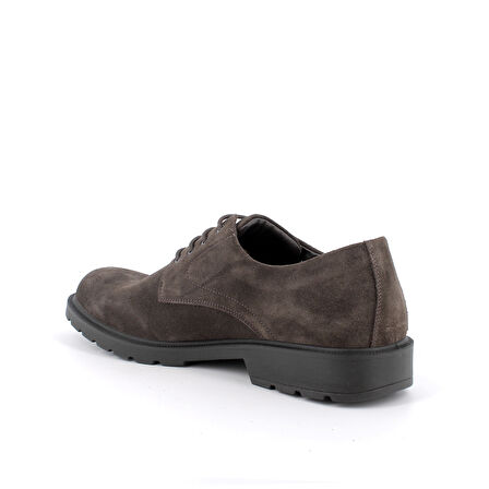 Erkek Oxford ( Klasik) 8602333 IGI&Co UCTGT SCAMOSC.SPECIAL GORETEX SIERRA (Caffe )