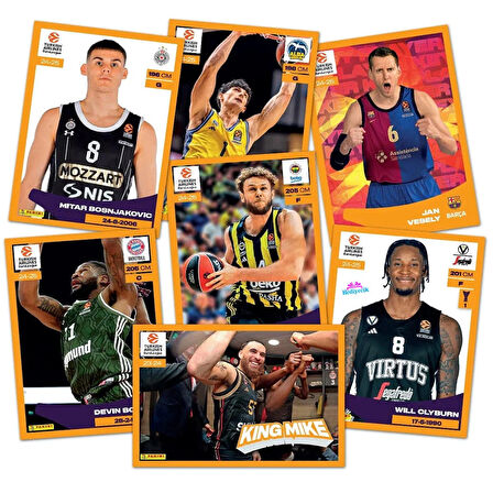 Panini Turkish Airlines Euroleague 2025 Çıkartma Albümü Başlangıç Paketi Set 36 Paket (180Adet)