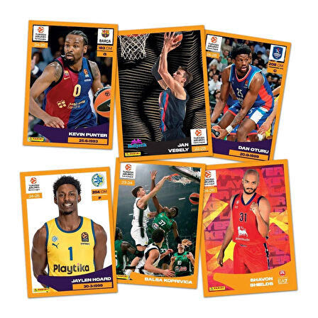 Panini Turkish Airlines Euroleague 2025 Çıkartma Albümü Başlangıç Paketi Set 36 Paket (180Adet)