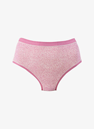 Çok Renkli Kadın  Külot 3lü 3363 COT COLORDAY