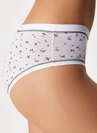 Cotonella Çok Renkli Kadın 3'lü Bikini Külot 3363 COT COLORDAY