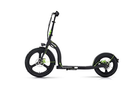 Argento Active Bike