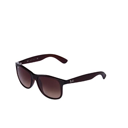 Ray-Ban RB4202 607313 55 Unisex Güneş Gözlüğü