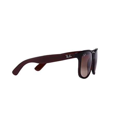 Ray-Ban RB4202 607313 55 Unisex Güneş Gözlüğü