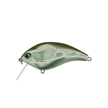 Molix F Crank SR60 10.5gr Silver Bait