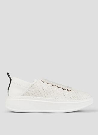 Alexander Smith Beyaz Kadın Sneaker ASBBWYW0410TWT