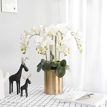 3lü Set Yapay Çiçek Islak Orkide ve 2 Adet Orkide Yaprağı Gerçeksi Doku Uzun Dal 90cm