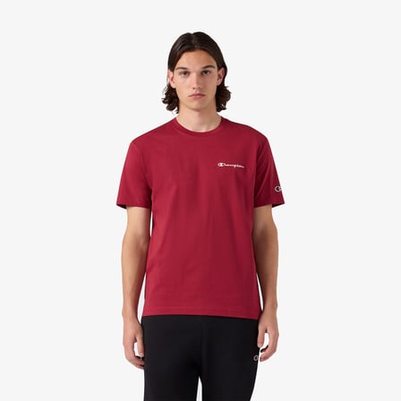 Champion Short Sleeve  Erkek Kahverengi T-Shirt