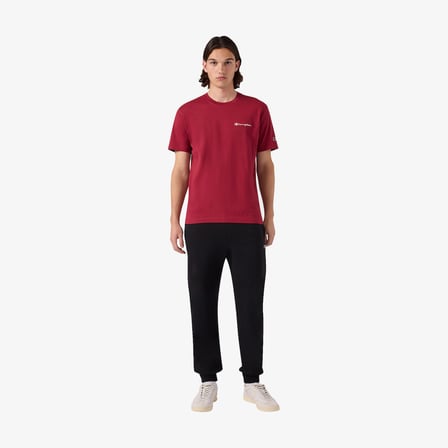 Champion Short Sleeve  Erkek Kahverengi T-Shirt