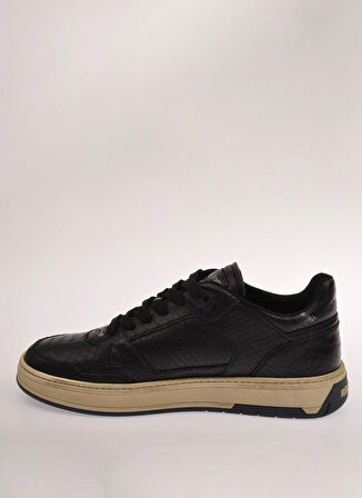 Roberto Cavalli Siyah Erkek Sneaker 27770