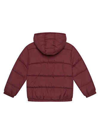 Erkek Çocuk Bordo Logo İşlemeli Kalın Mont
