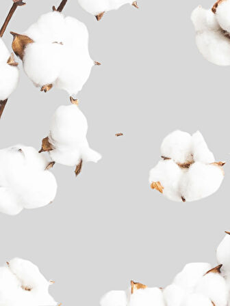 Benetton Kız Çocuk Baskılı Tshirt 1-6 Yaş Pembe