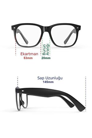 RAY-BAN RB 3565 COL 9196/31 53-20-145 UNİSEX GÜNEŞ GÖZLÜĞÜ