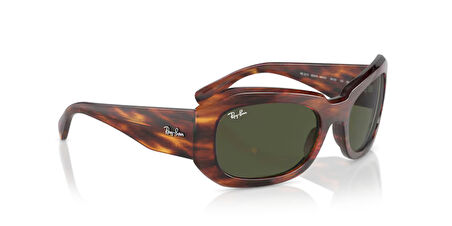 Ray-Ban 0RB 2212 954/31 56