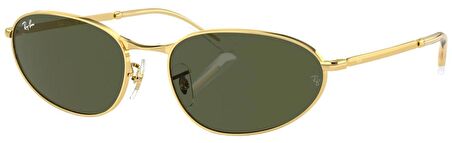 Ray-Ban RB3734 001/31 59 Polarize Unisex Güneş Gözlüğü