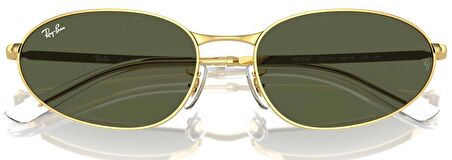 Ray-Ban RB3734 001/31 59 Polarize Unisex Güneş Gözlüğü