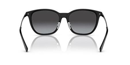 Ray-Ban 0RB 4333D 601/8G 55