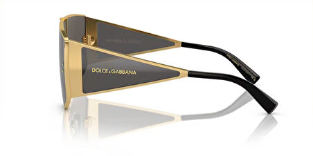 Dolce Gabbana DG2305 02 87 44 Erkek Güneş Gözlüğü