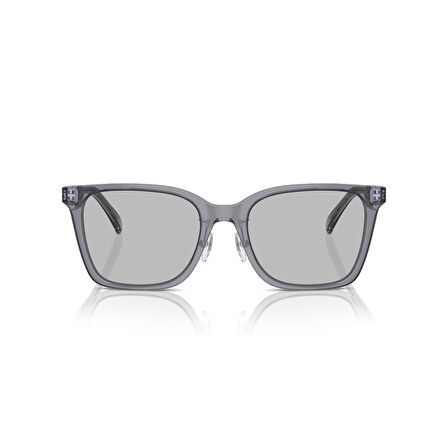 EA 4226D 502987 55 Emporio Armani Güneş Gözlüğü