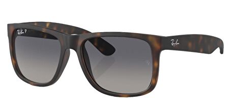 Ray-Ban RB4165 865/8S 55 Polarize Unisex Güneş Gözlüğü