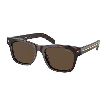 Prada 0PR A17S 17N70F54 HN Erkek Güneş Gözlüğü