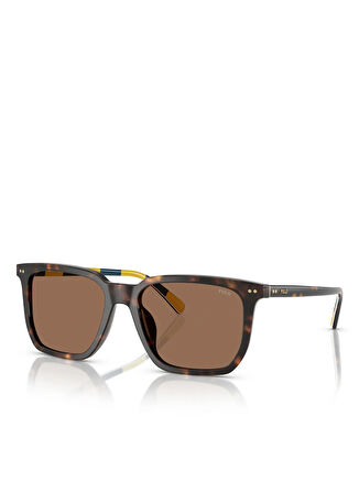 Polo Ralph Lauren Erkek Güneş Gözlüğü 0PH4224U55500373