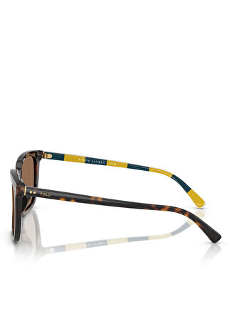 Polo Ralph Lauren Erkek Güneş Gözlüğü 0PH4224U55500373