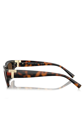 Tiffany Unisex Güneş Gözlüğü 0TF4226U5680153G