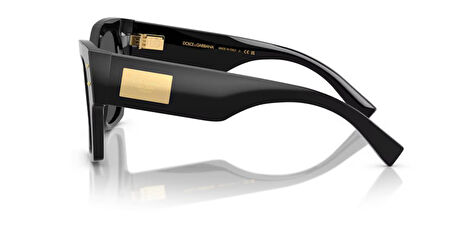 DOLCE&GABBANA  4478 501/87 53-20 Kadın  Güneş Gözlüğü