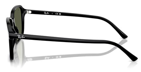 Ray-Ban RB2231 901/31 58 Unisex Güneş Gözlüğü