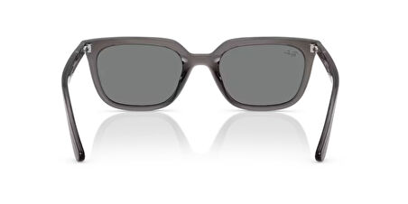 Ray-Ban 0RB 4439D 6675/87 54