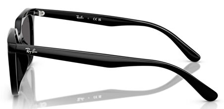 Ray-Ban RB4439D 901/87 54 Unisex Güneş Gözlüğü