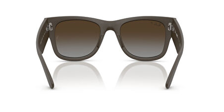 Ray-Ban 0RB 4840-S 6124/T5 50