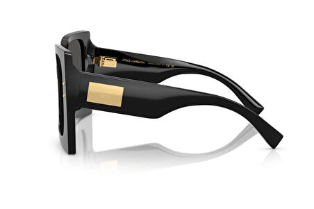 DOLCE&GABBANA  4490 501/87 54-19  Güneş Gözlüğü