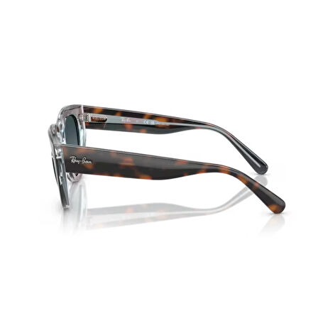 Ray-Ban RB 2286 1413S3 49 Polarize Kadın Cat Eye Çok Renkli Kemik Güneş Gözlüğü