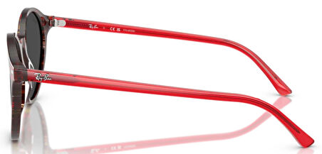 Ray-Ban RB2230 141948 51 Polarize Unisex Güneş Gözlüğü