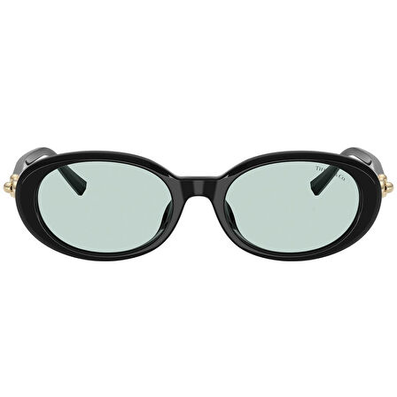 TIFFANY & CO 0TF4242D 8001D9 54