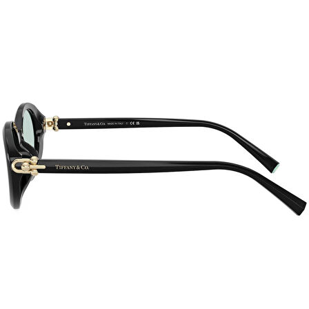 TIFFANY & CO 0TF4242D 8001D9 54