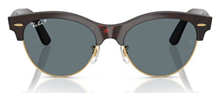 Ray-Ban RB2341 990/3R 54 Polarize Unisex Güneş Gözlüğü