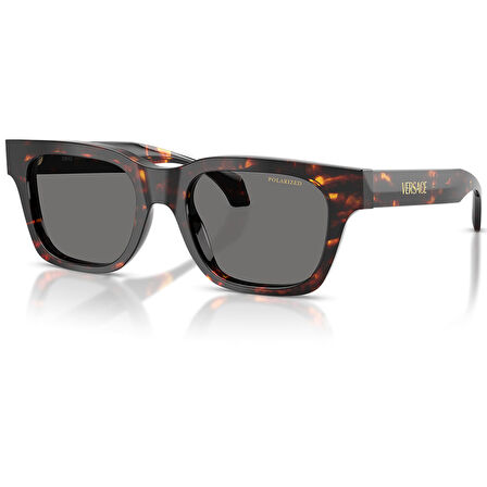 Versace VE4486 550987 52 Erkek Güneş Gözlüğü